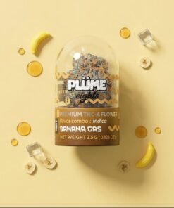 Plume Eights Banana Gas