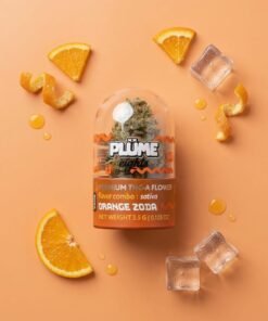 Plume Eights Orange Zoda