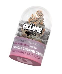 Plume Eights Tangie Island Gelato